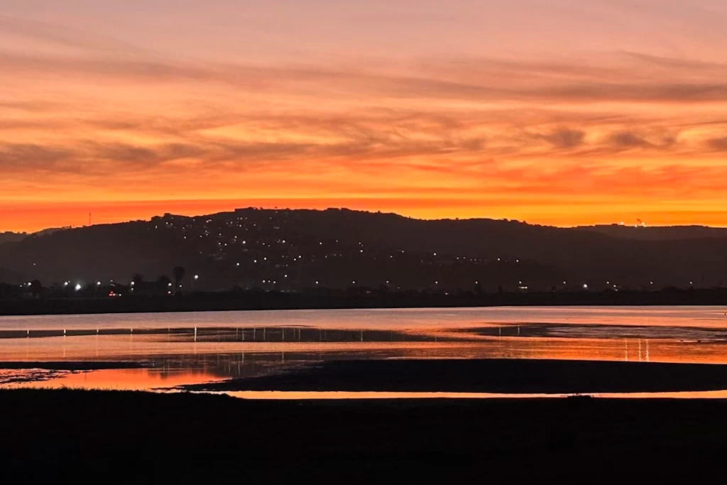 An Estuary Can’t Speak for Itself